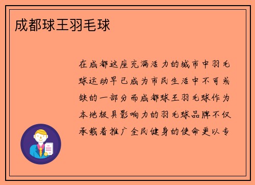 成都球王羽毛球