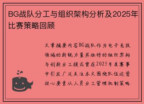 BG战队分工与组织架构分析及2025年比赛策略回顾